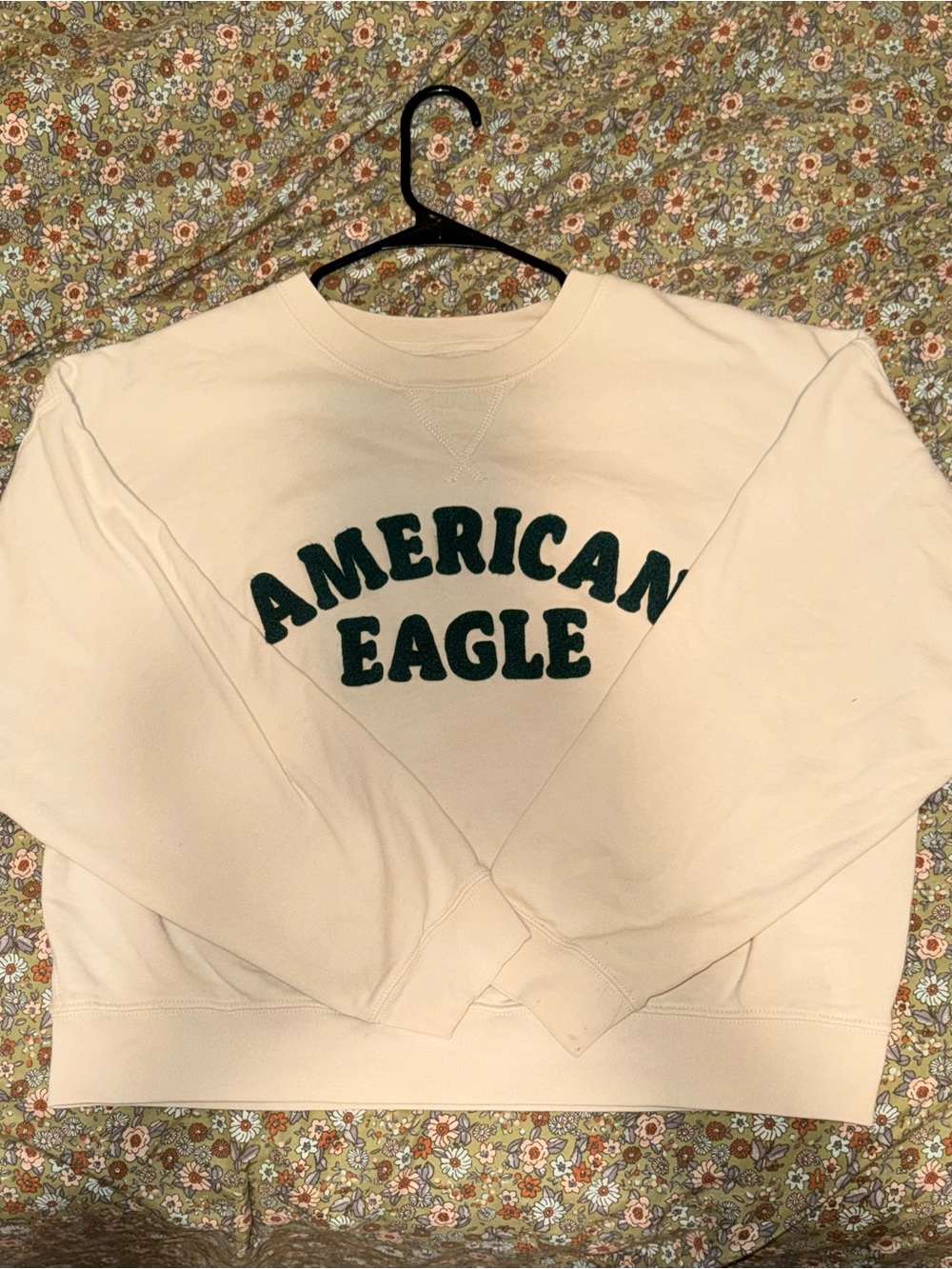 American Eagle Outfitters Cream Crewneck with Dark Green Logo